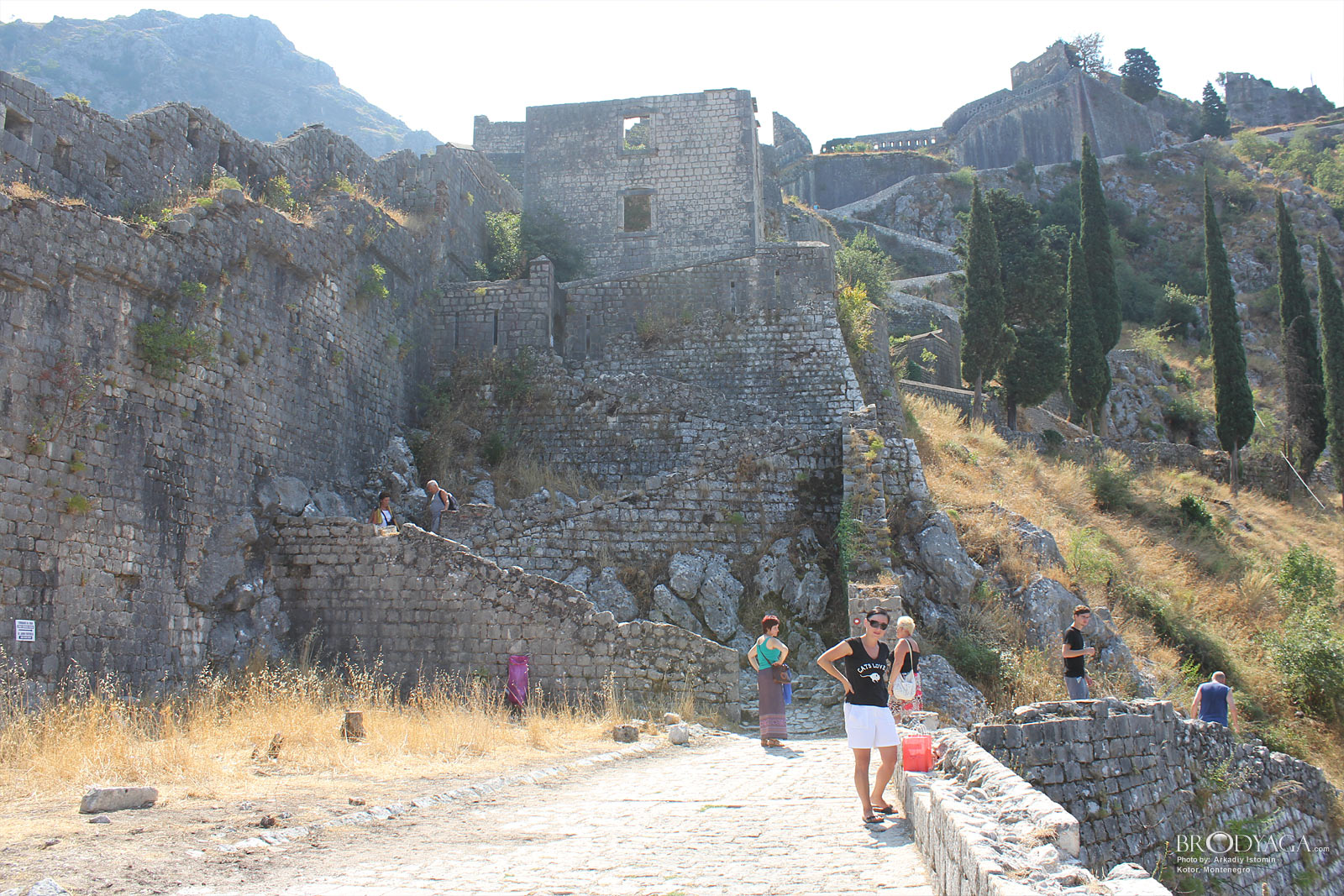 Kotor